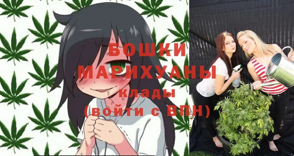мет Карпинск