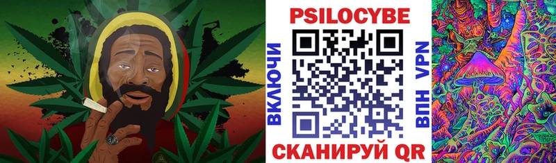 Псилоцибиновые грибы Cubensis  Купить где  Лагань 